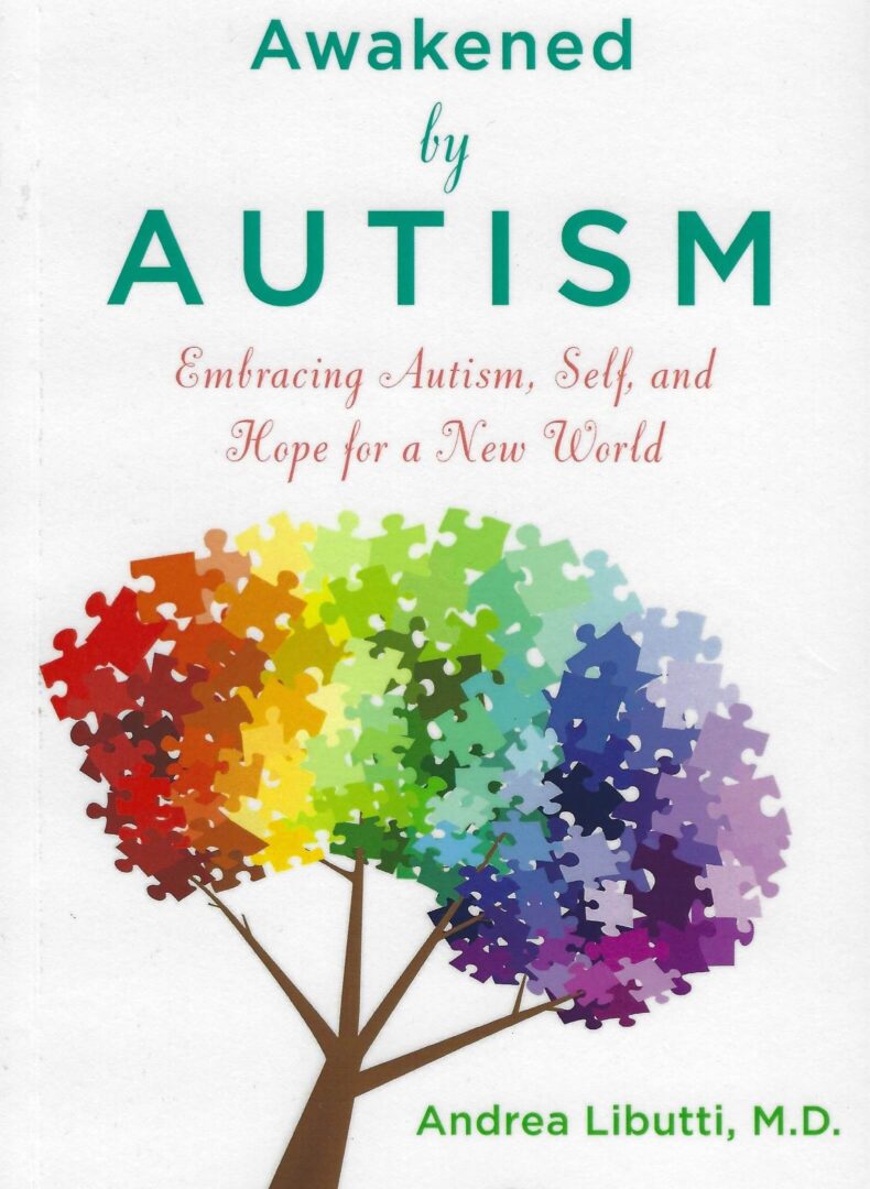 Awakened By Autism Book Cover Picture