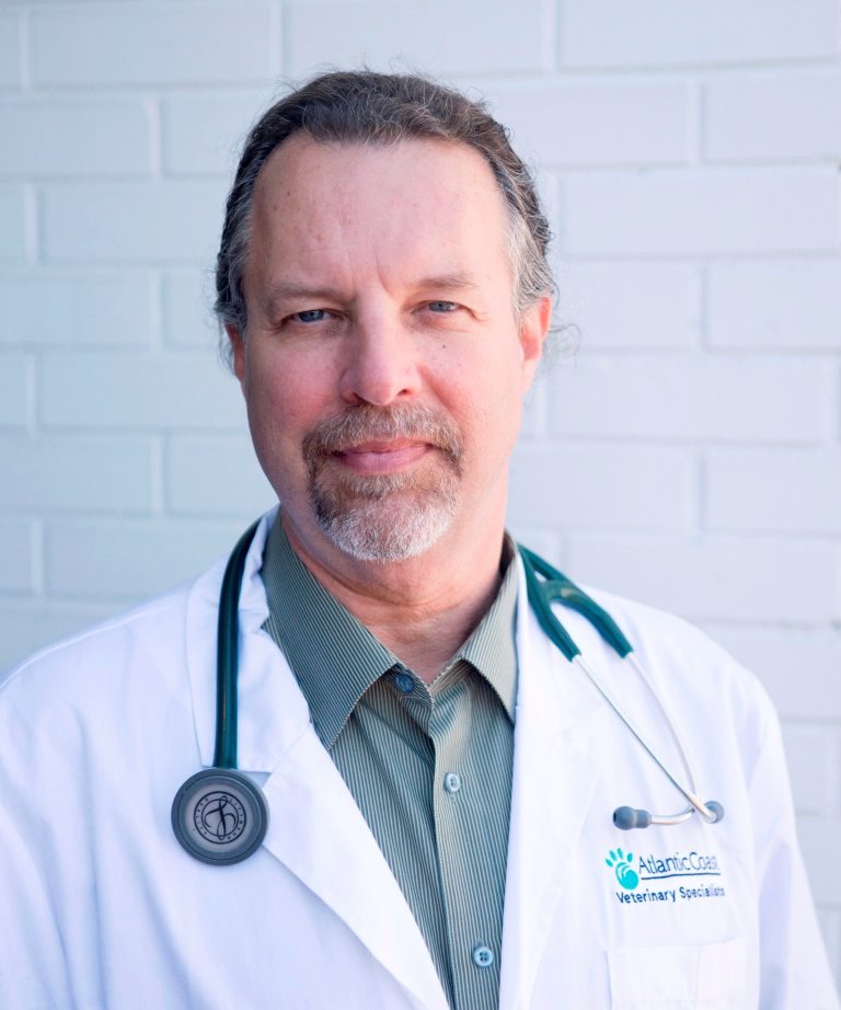Dr. George Kramer Veterinary Doctor