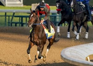 Midnight Bourbon Capable of Upset Victory in Preakness